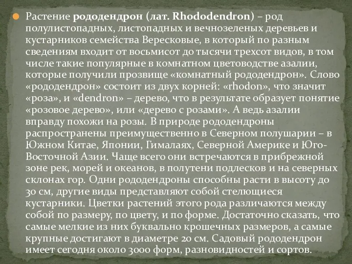 Растение рододендрон (лат. Rhododendron) – род полулистопадных, листопадных и вечнозеленых