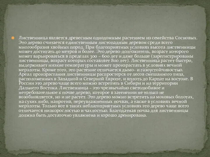 Лиственница является древесным однодомным растением из семейства Сосновых. Это дерево