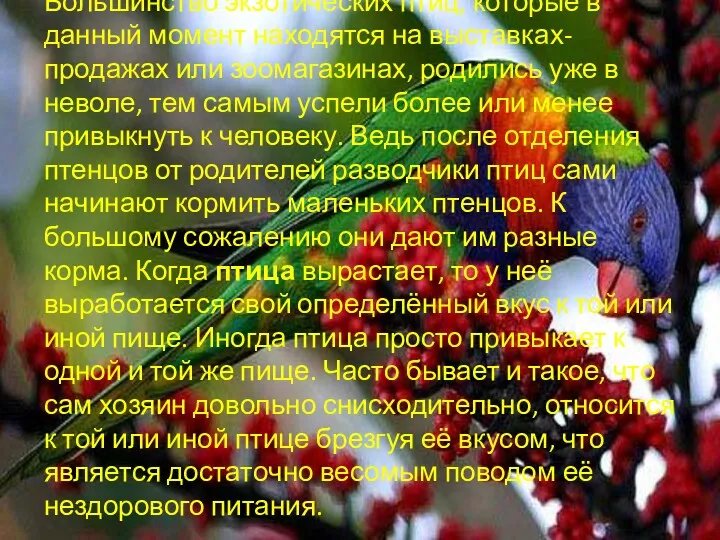 Большинство экзотических птиц, которые в данный момент находятся на выставках-продажах