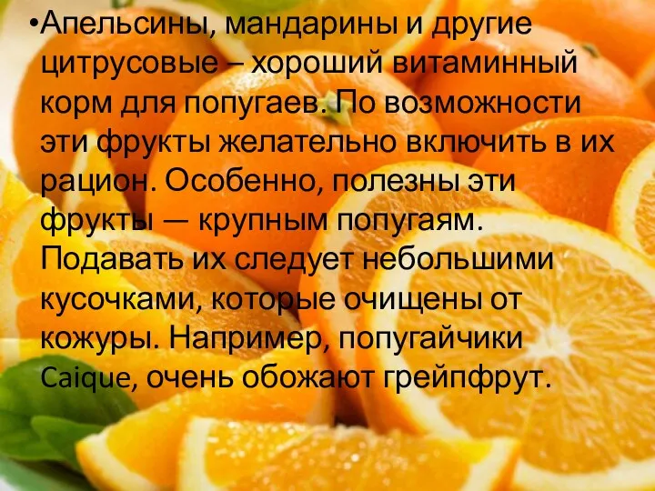 Апельсины, мандарины и другие цитрусовые – хороший витаминный корм для