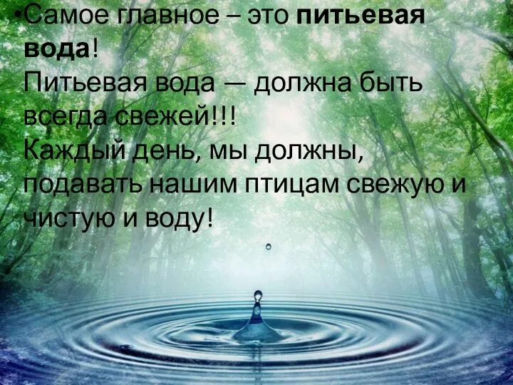 Самое главное – это питьевая вода! Питьевая вода — должна