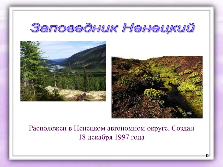 Заповедник Ненецкий Расположен в Ненецком автономном округе. Создан 18 декабря 1997 года