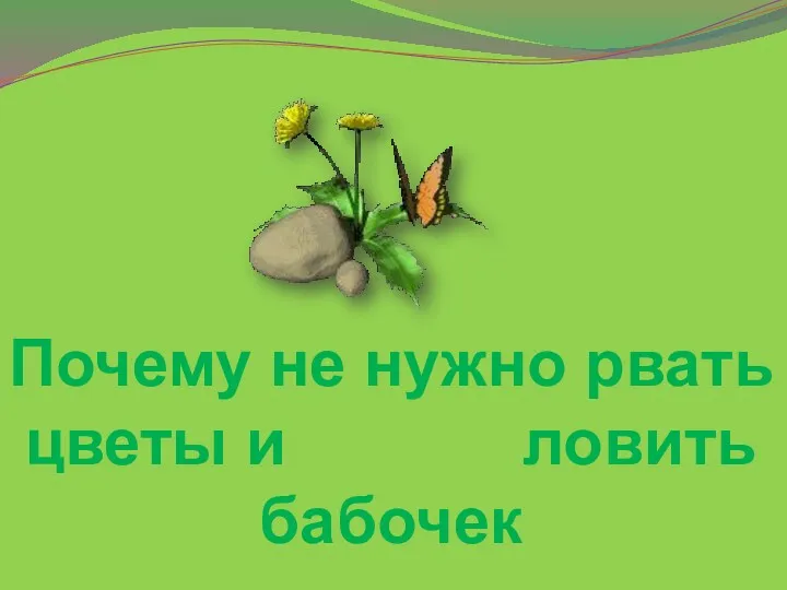 Почему мы не нужно рвать цветы и ловить бабочек (окружающий мир, 1 класс)