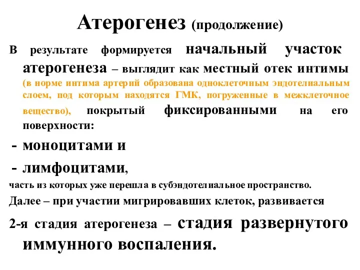 Атерогенез (продолжение) В результате формируется начальный участок атерогенеза – выглядит