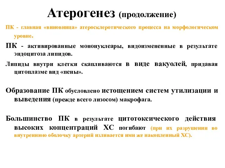 Атерогенез (продолжение) ПК - главная «виновница» атеросклеротического процесса на морфологическом уровне. ПК -