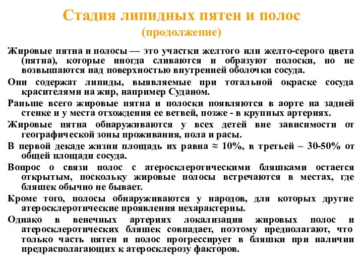 Стадия липидных пятен и полос (продолжение) Жировые пятна и полосы — это участки