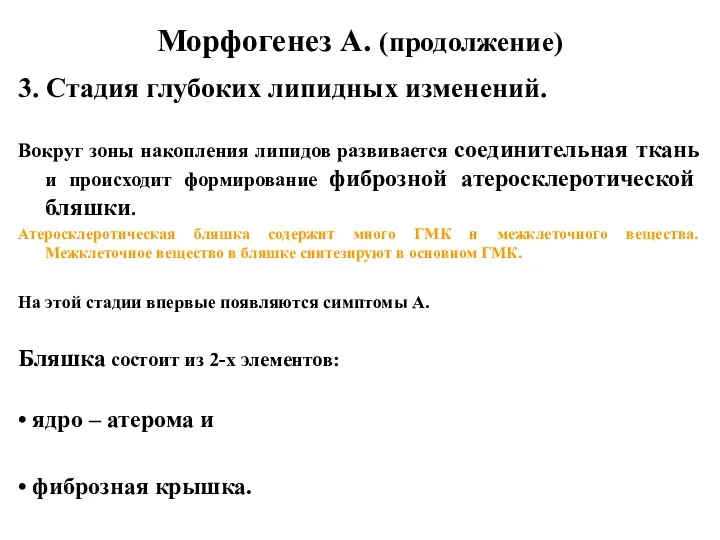 Морфогенез А. (продолжение) 3. Стадия глубоких липидных изменений. Вокруг зоны накопления липидов развивается