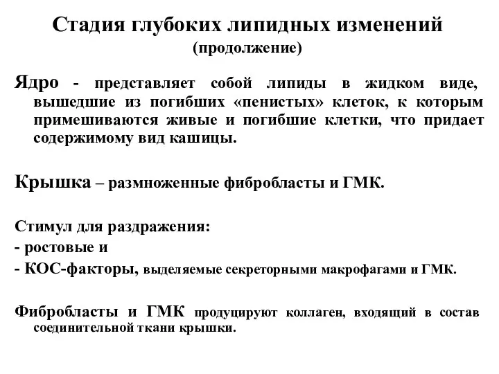 Стадия глубоких липидных изменений (продолжение) Ядро - представляет собой липиды