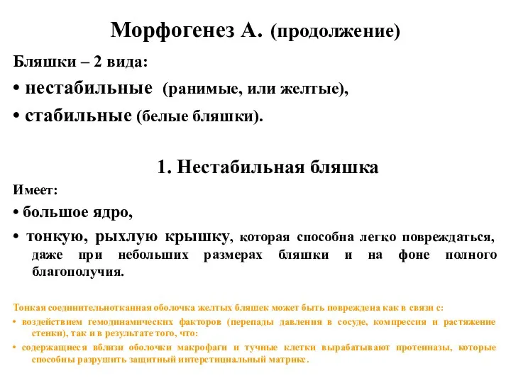 Морфогенез А. (продолжение) Бляшки – 2 вида: • нестабильные (ранимые, или желтые), •