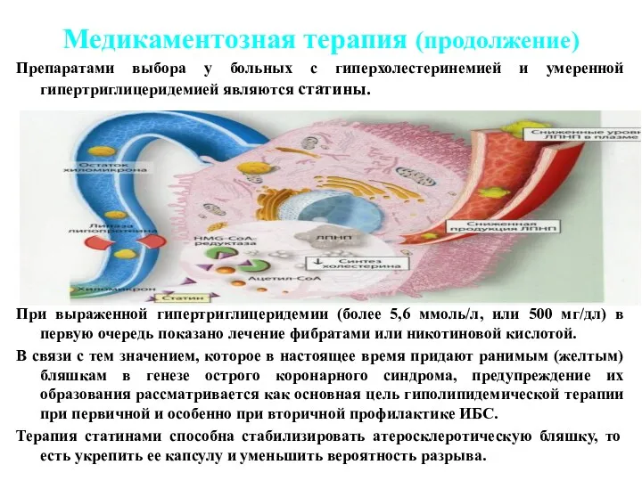 Медикаментозная терапия (продолжение) Препаратами выбора у больных с гиперхолестеринемией и