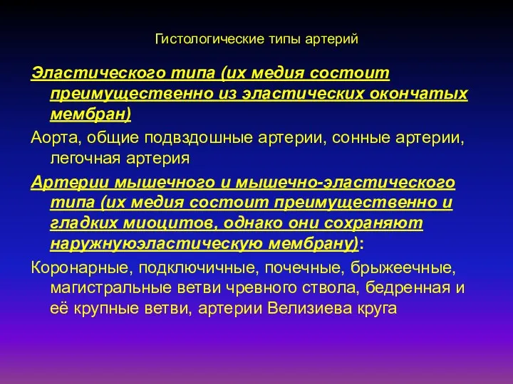 Гистологические типы артерий Эластического типа (их медия состоит преимущественно из эластических окончатых мембран)