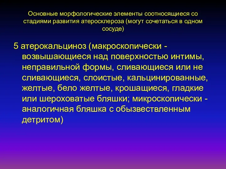 Основные морфологические элементы соотносящиеся со стадиями развития атеросклероза (могут сочетаться в одном сосуде)