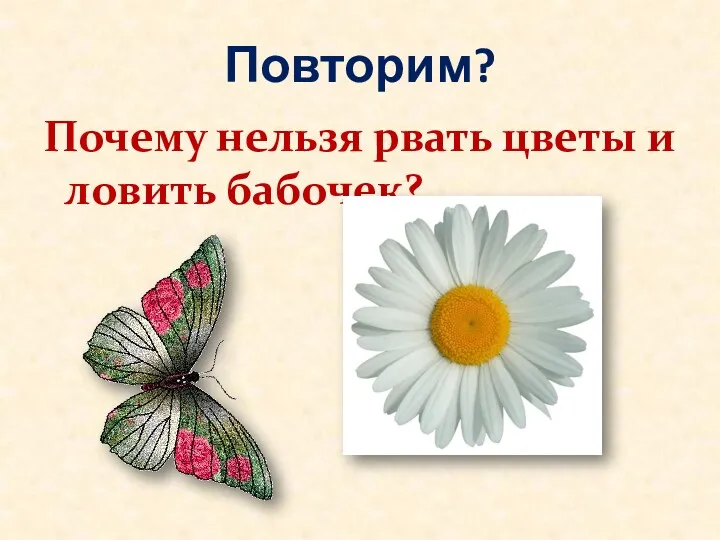 Повторим? Почему нельзя рвать цветы и ловить бабочек?