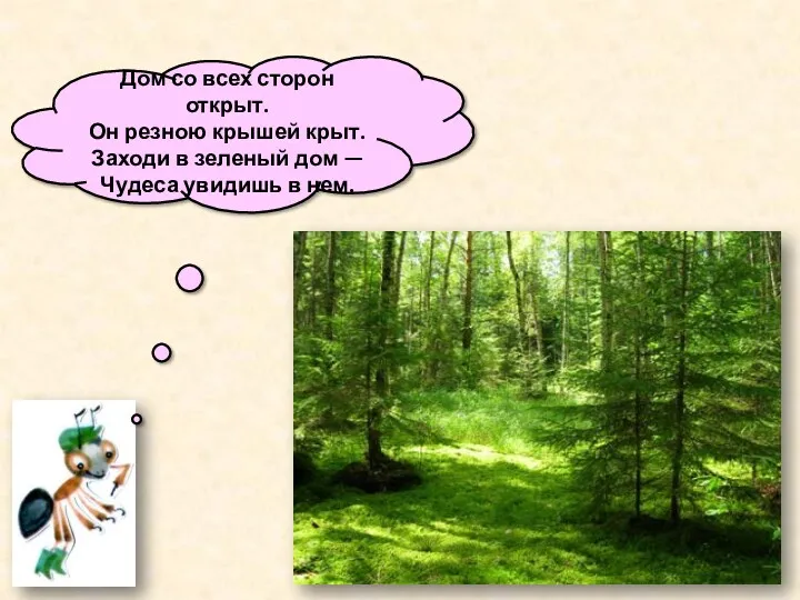 Дом со всех сторон открыт. Он резною крышей крыт. Заходи в зеленый дом