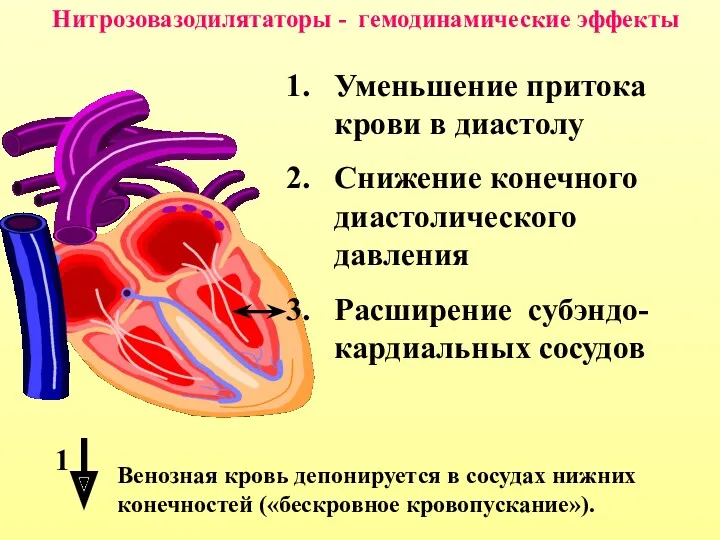 Нитрозовазодилятаторы - гемодинамические эффекты Уменьшение притока крови в диастолу Снижение