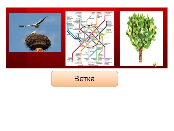 Ветка