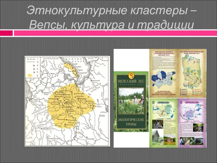 Этнокультурные кластеры – Вепсы, культура и традиции