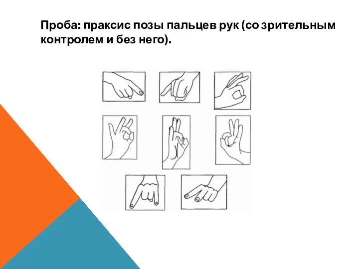 Проба: праксис позы пальцев рук (со зрительным контролем и без него).