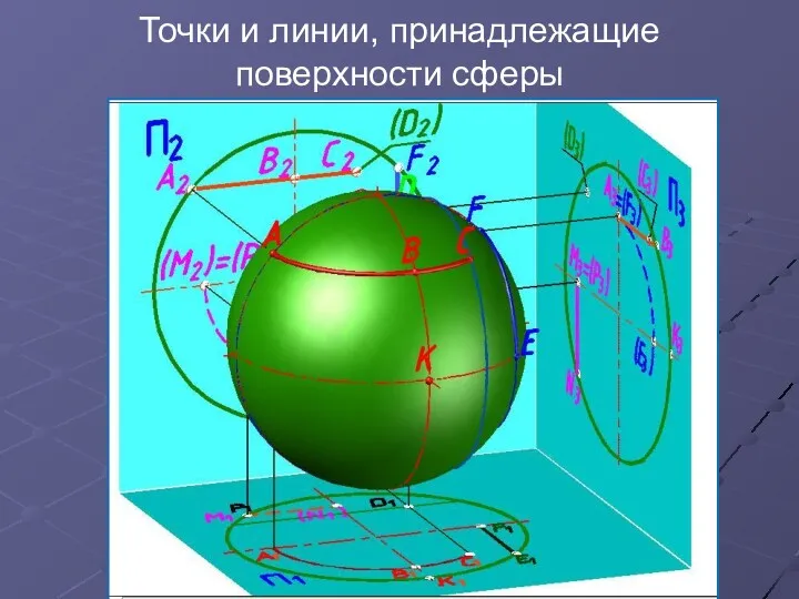 Точки и линии, принадлежащие поверхности сферы