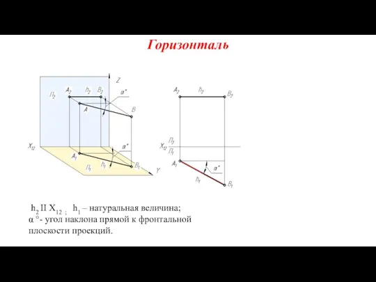 Горизонталь h2 II X12 ; h1 – натуральная величина; α