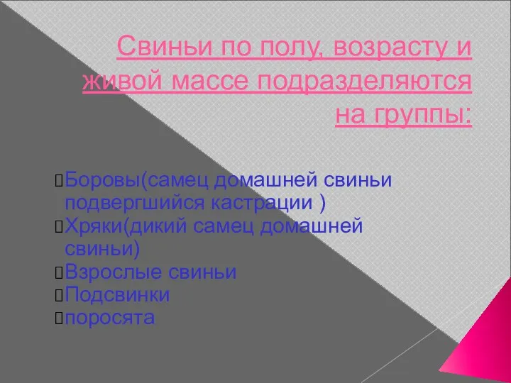 Свиньи по полу, возрасту и живой массе подразделяются на группы: