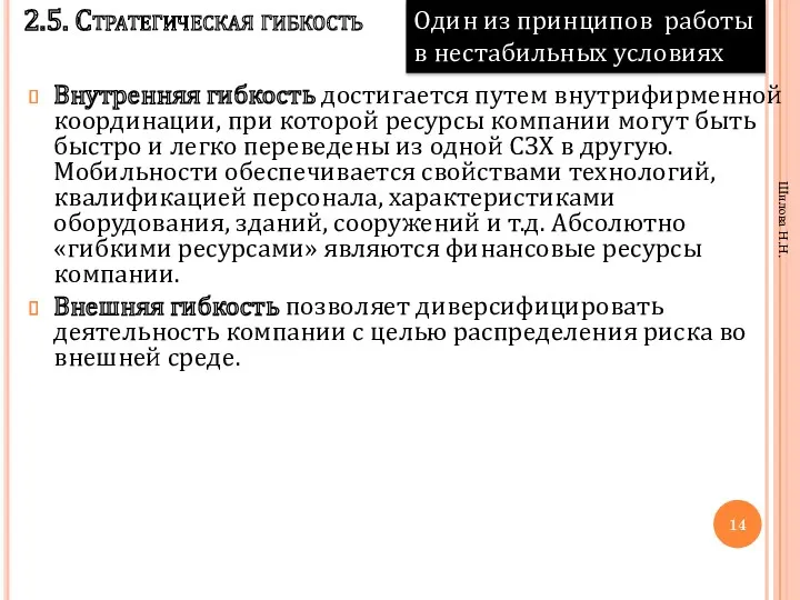 2.5. Стратегическая гибкость Внутренняя гибкость достигается путем внутрифирменной координации, при