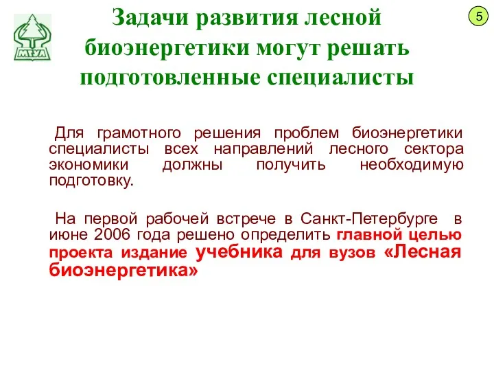 Задачи развития лесной биоэнергетики могут решать подготовленные специалисты Для грамотного