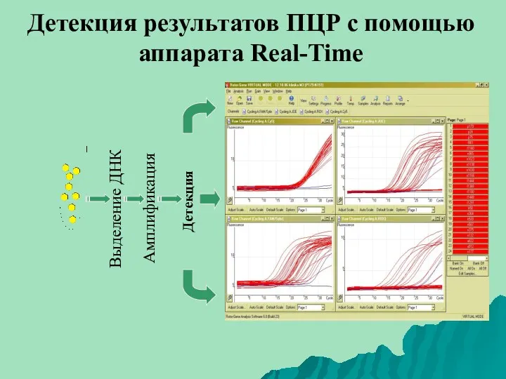 Детекция результатов ПЦР с помощью аппарата Real-Time