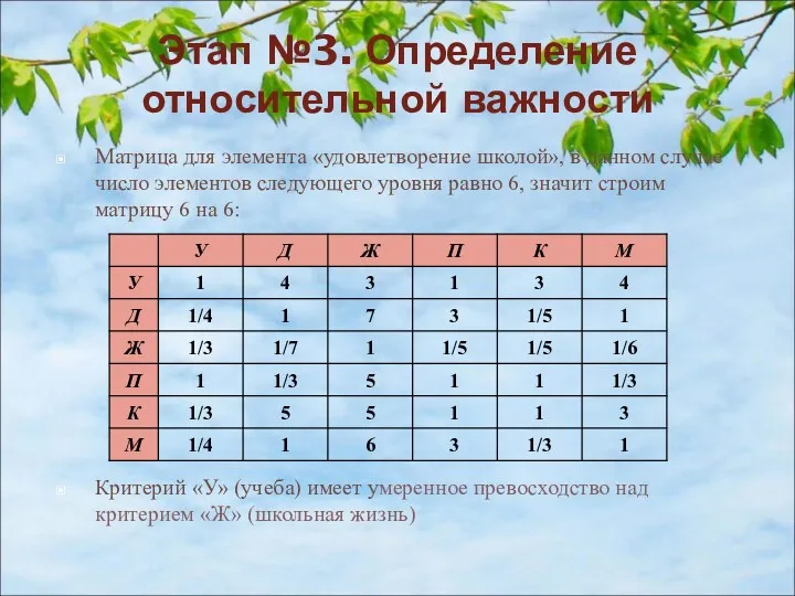 Этап №3. Определение относительной важности Матрица для элемента «удовлетворение школой»,