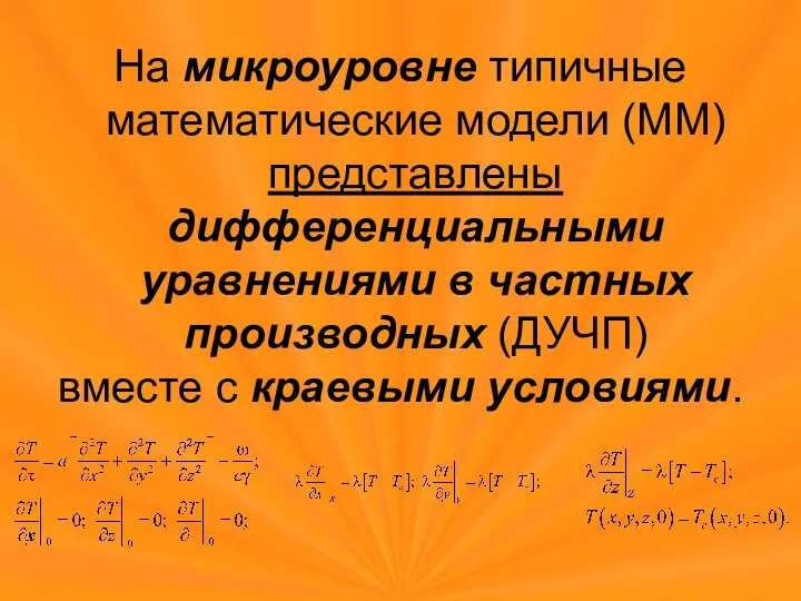 На микроуровне типичные математические модели (ММ) представлены дифференциальными уравнениями в