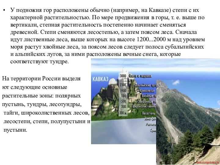 У подножия гор расположены обычно (например, на Кавказе) степи с