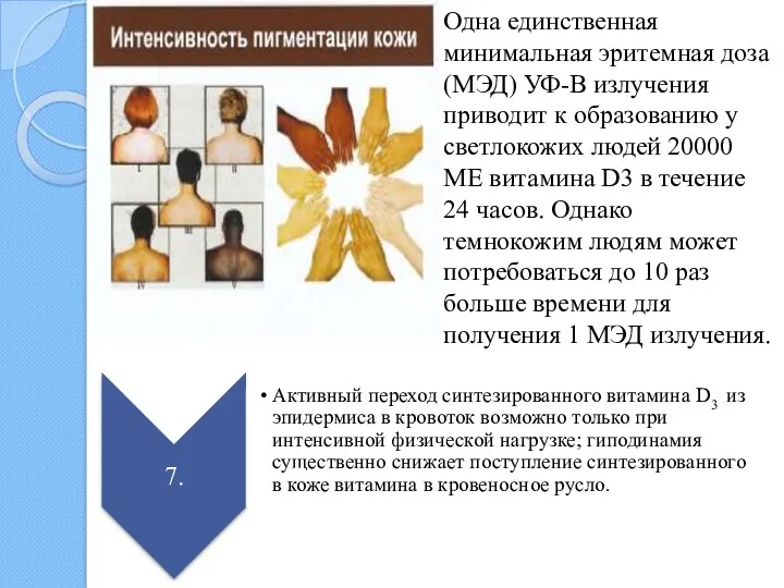 Одна единственная минимальная эритемная доза (МЭД) УФ-В излучения приводит к