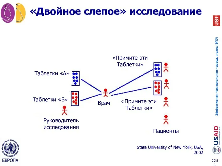 «Двойное слепое» исследование State University of New York, USA, 2002