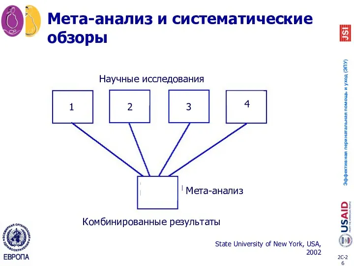 Мета-анализ и систематические обзоры State University of New York, USA, 2002