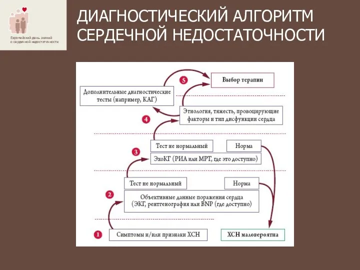 ДИАГНОСТИЧЕСКИЙ АЛГОРИТМ СЕРДЕЧНОЙ НЕДОСТАТОЧНОСТИ