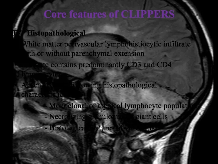 Core features of CLIPPERS IV. Histopathological White matter perivascular lymphohistiocytic