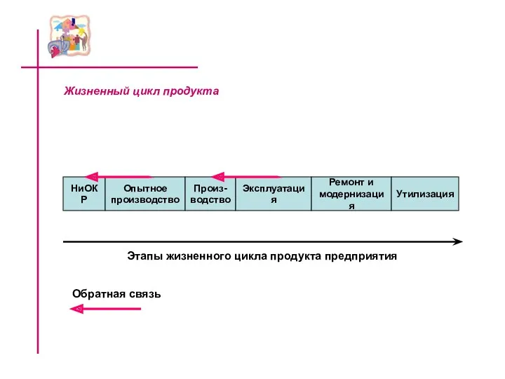 Жизненный цикл продукта Этапы жизненного цикла продукта предприятия НиОКР Опытное