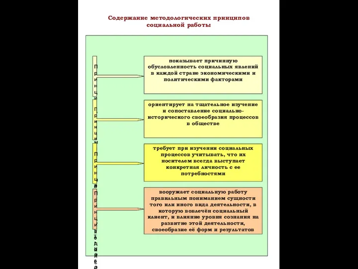 Принцип детерми-низма показывает причинную обусловленность социальных явлений в каждой стране