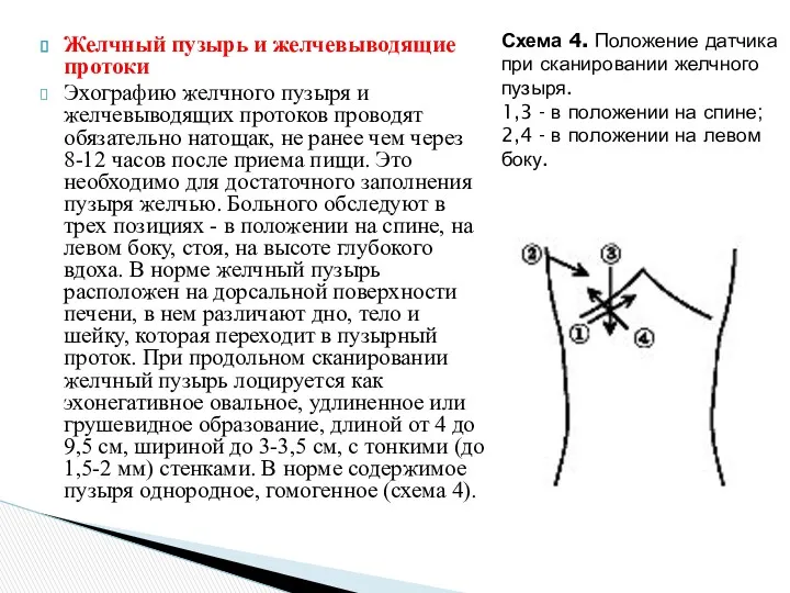 Желчный пузырь и желчевыводящие протоки Эхографию желчного пузыря и желчевыводящих