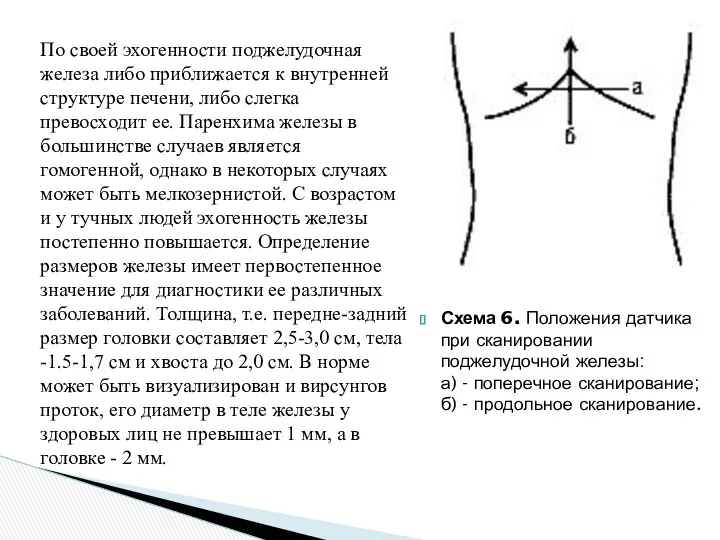 Схема 6. Положения датчика при сканировании поджелудочной железы: а) -