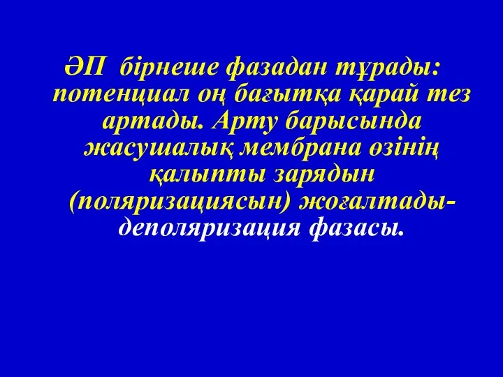 ӘП бірнеше фазадан тұрады: потенциал оң бағытқа қарай тез артады.