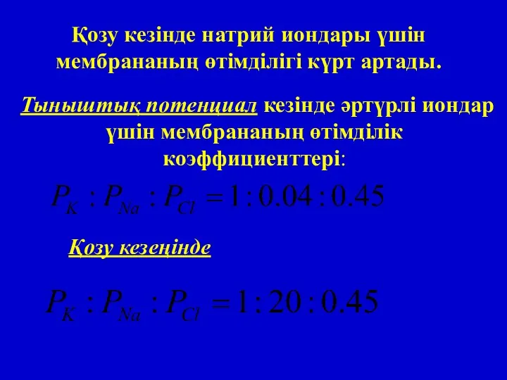 Қозу кезінде натрий иондары үшін мембрананың өтімділігі күрт артады. Қозу