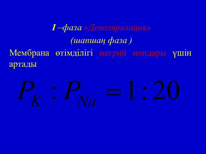 I –фаза «Деполяризация» (шапшаң фаза ) Мембрана өтімділігі натрий иондары үшін артады