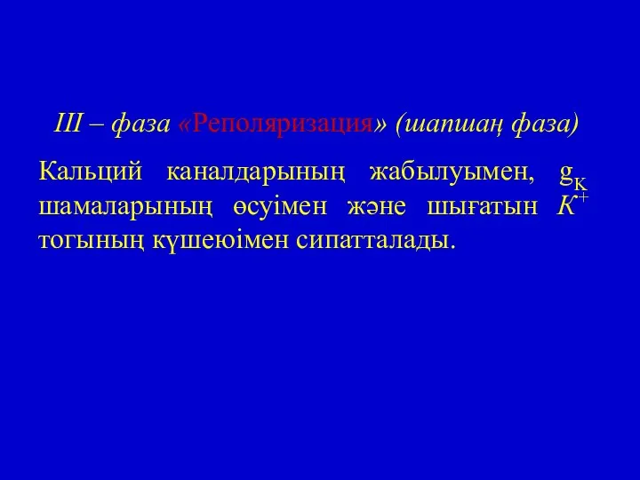 III – фаза «Реполяризация» (шапшаң фаза) Кальций каналдарының жабылуымен, gK