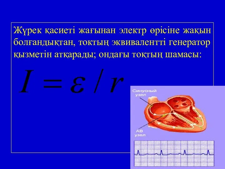 Жүрек қасиеті жағынан электр өрісіне жақын болғандықтан, токтың эквивалентті генератор қызметін атқарады; ондағы тоқтың шамасы: