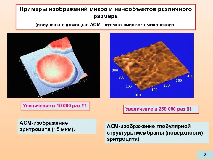 АСМ-изображение эритроцита (~5 мкм). Примеры изображений микро и нанообъектов различного размера (получены с