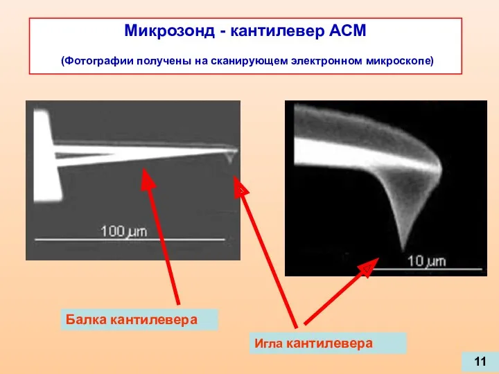 Микрозонд - кантилевер АСМ (Фотографии получены на сканирующем электронном микроскопе) Балка кантилевера Игла кантилевера 11