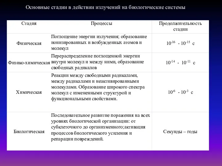 Основные стадии в действии излучений на биологические системы