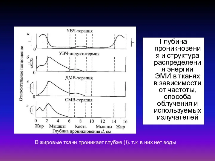 Глубина проникновения и структура распределения энергии ЭМИ в тканях в