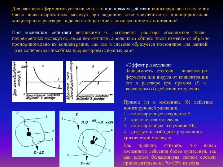 «Эффект разведения» Зависимость степени инактивации фермента или вируса от концентрации